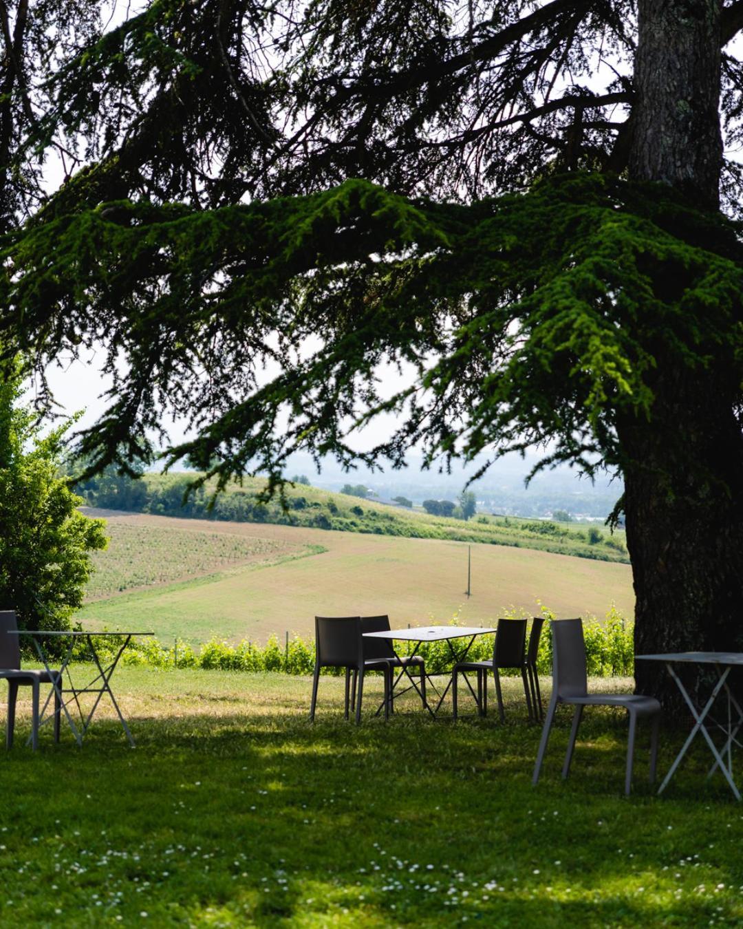 Chateau De Tauzies, The Originals Relais Gaillac Eksteriør bilde