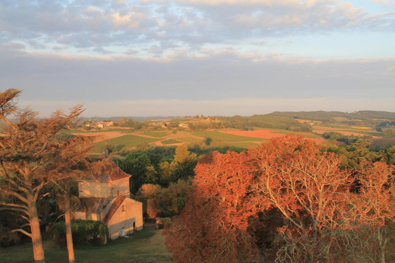 Chateau De Tauzies, The Originals Relais Gaillac Eksteriør bilde